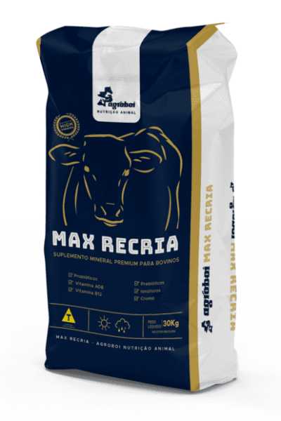 Max Recria
